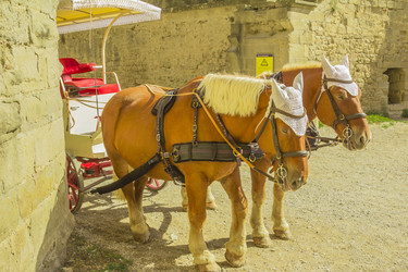 Similar image 7513090