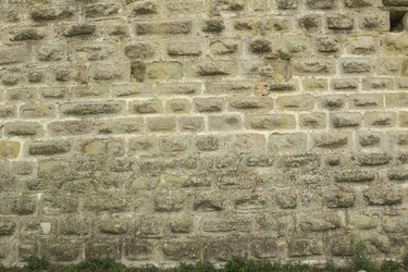 Similar image 7513132