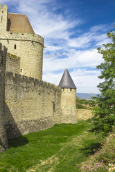 Similar image 7513141