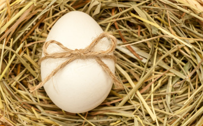 Similar image 7513206