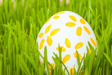 Similar image 7513262