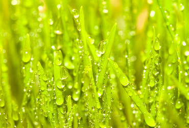 Similar image 7513269