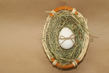 Similar image 7513272