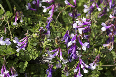 Similar image 7513279