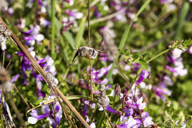 Similar image 7513281