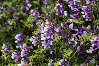 Similar image 7513284