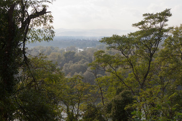 Similar image 7513294