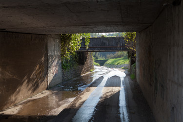 Similar image 7513300