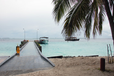 Similar image 7513351