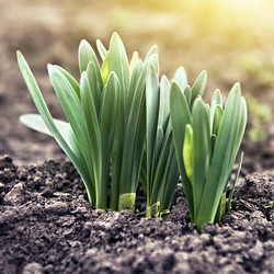 Similar image 7513394