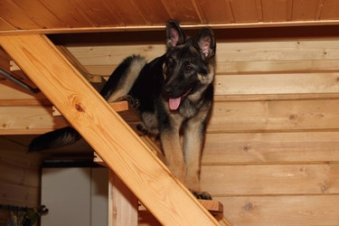 Similar image 7513398