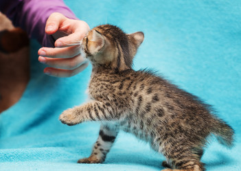 Similar image 7513414