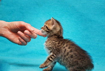 Similar image 7513415