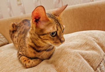 Similar image 7513434