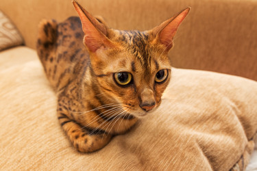 Similar image 7513435