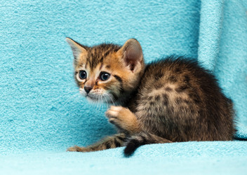 Similar image 7513436