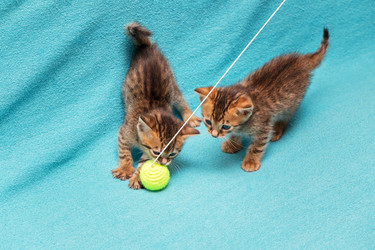 Similar image 7513440