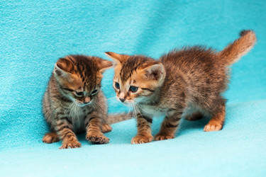 Similar image 7513442