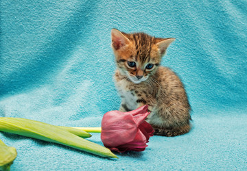 Similar image 7513443