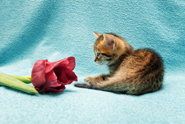 Similar image 7513445