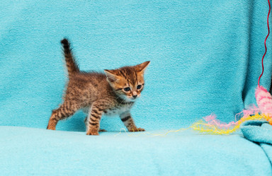 Similar image 7513446