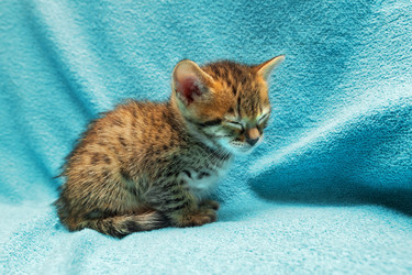 Similar image 7513447