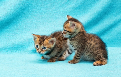 Similar image 7513452