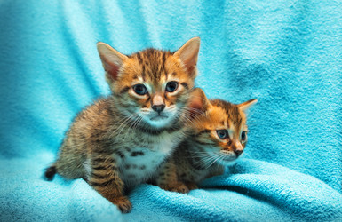 Similar image 7513453