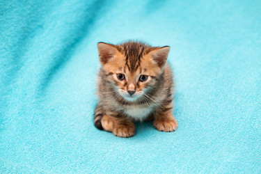 Similar image 7513454