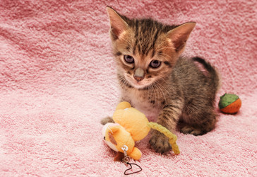 Similar image 7513472