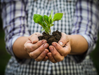 Similar image 7513533