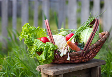 Similar image 7513540