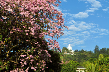 Similar image 7513613