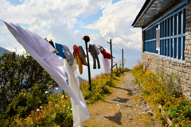 Similar image 7513643