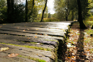 Similar image 7513677