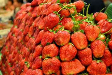 Similar image 7513678