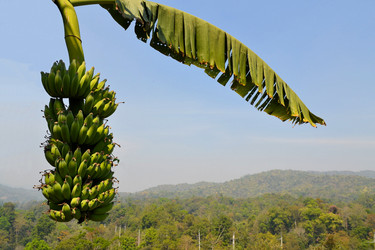 Similar image 7513706