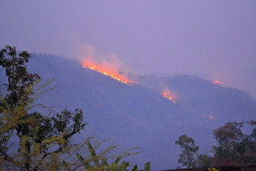 Similar image 7513708