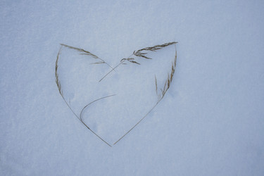 Similar image 7513713