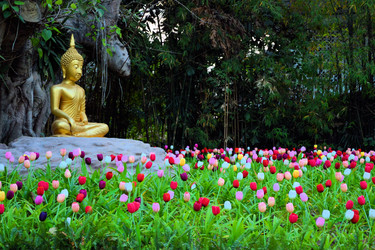 Similar image 7513729