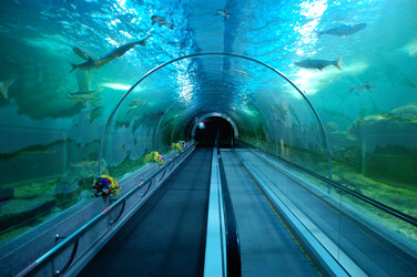 Similar image 7513742