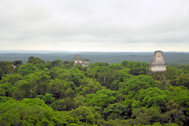 Similar image 7513759