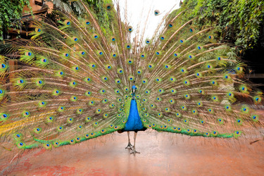 Similar image 7513810