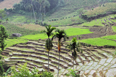 Similar image 7513840