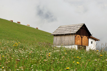 Similar image 7513849