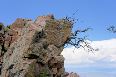 Similar image 7513868