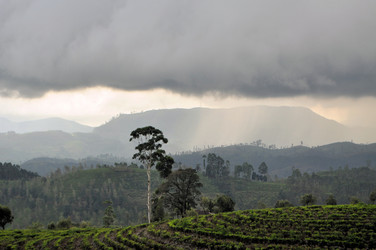 Similar image 7513874