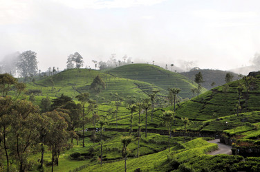 Similar image 7513889