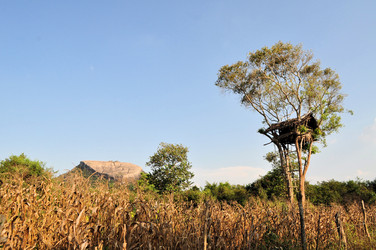 Similar image 7513904