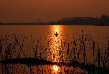 Similar image 7513911